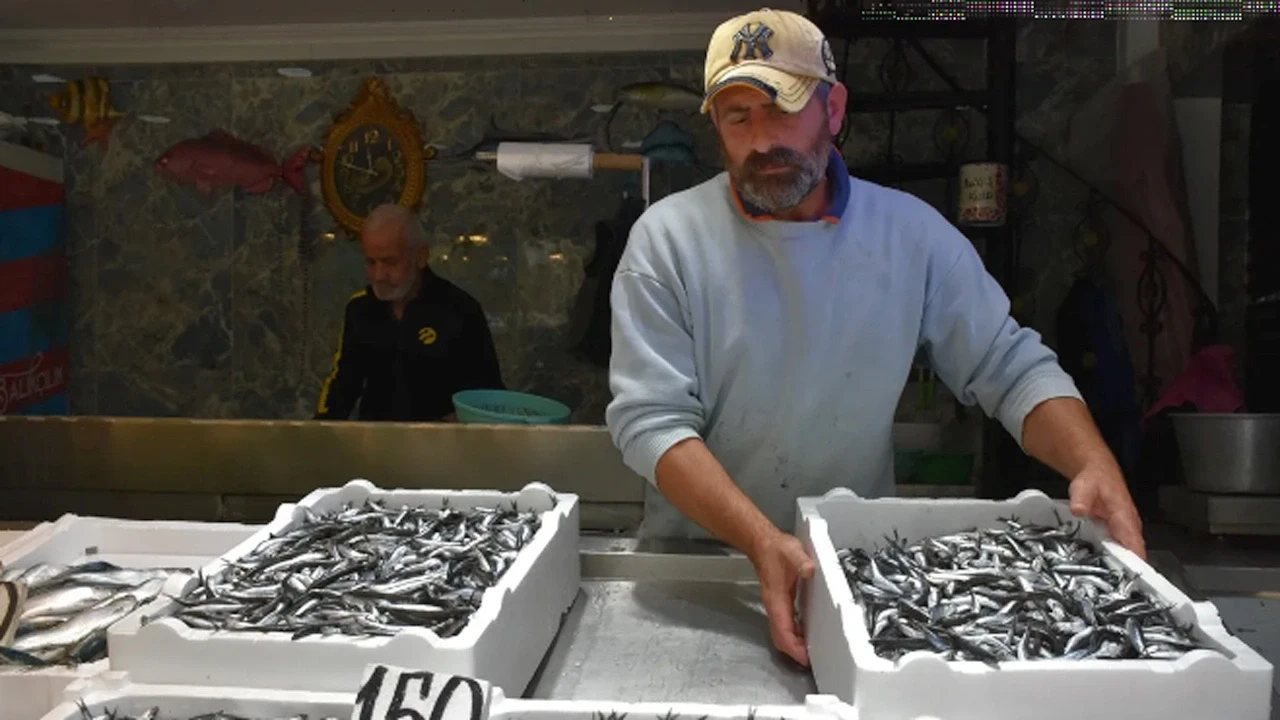 Yağmur sonrası balıkçılar rahatladı: Tezgahta bolluk, fiyatlar uygun