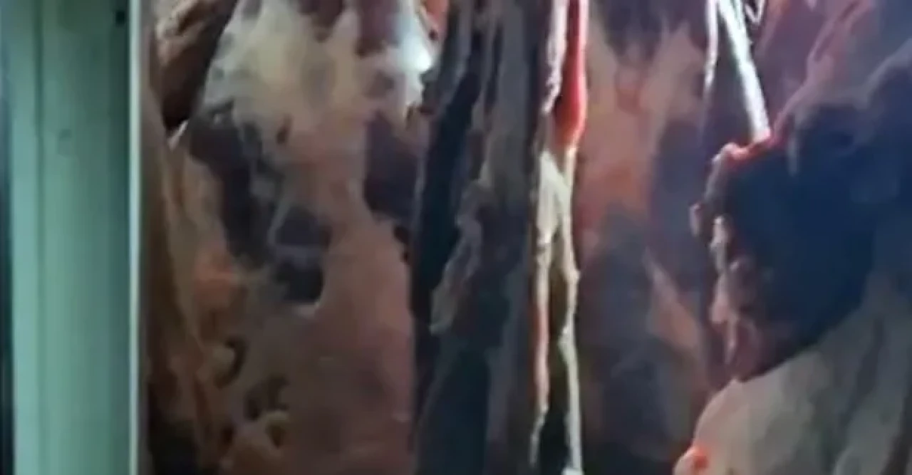 Kayseri’de skandal: Bakanlık tarafından tonlarca uygunsuz et imha edildi