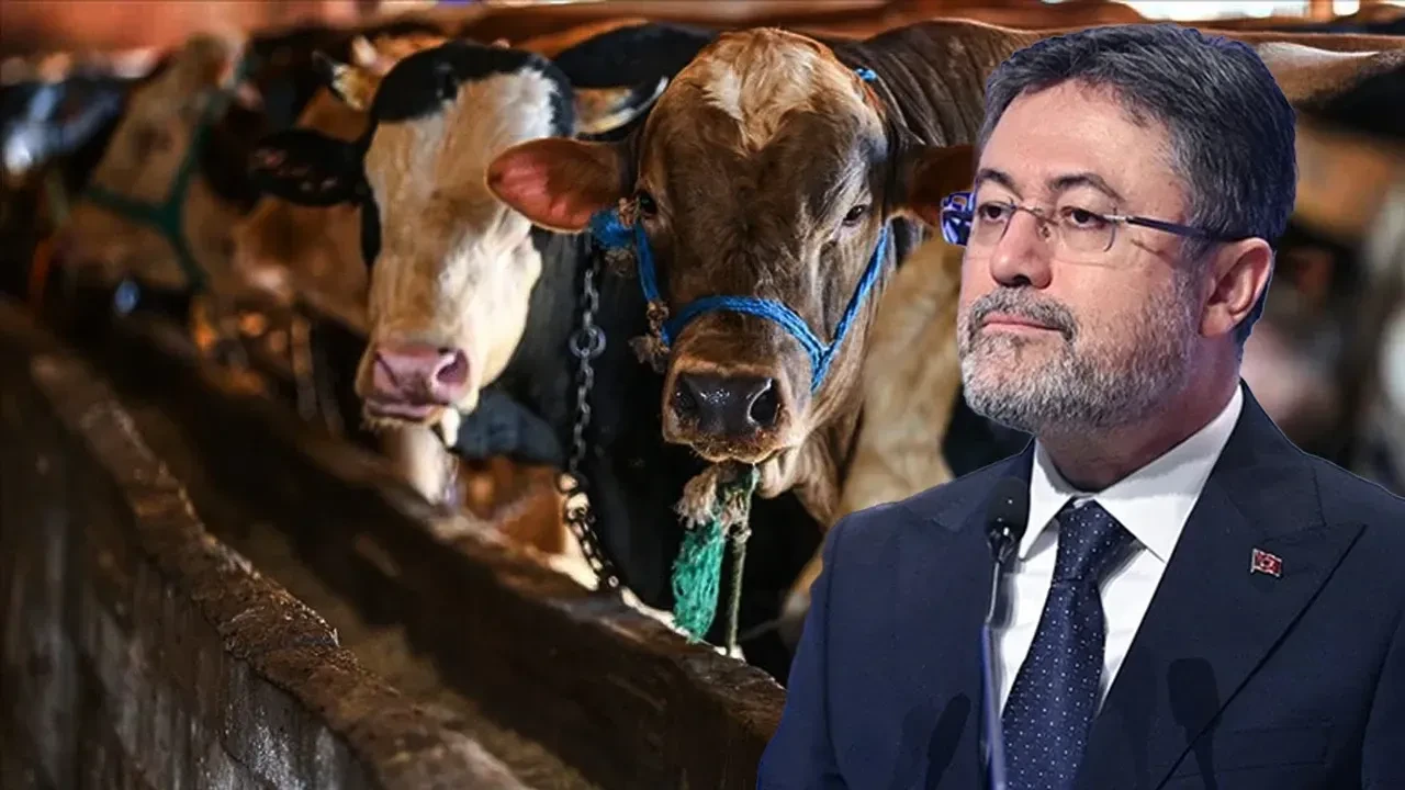 Bakan Yumaklı duyurdu : Hayvan pazarlarında 6 ilde daha yasak kalktı