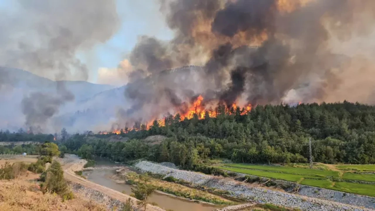 Yemek molası faciaya mı dönüştü? Eflani'de 5 kişi orman yangınıyla suçlandı