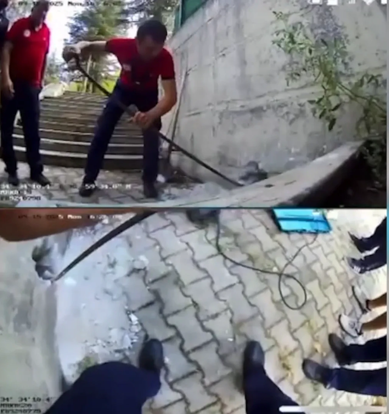 Beton blokta mahsur kalan kedi yavrusunun kurtarılma anı kamerada