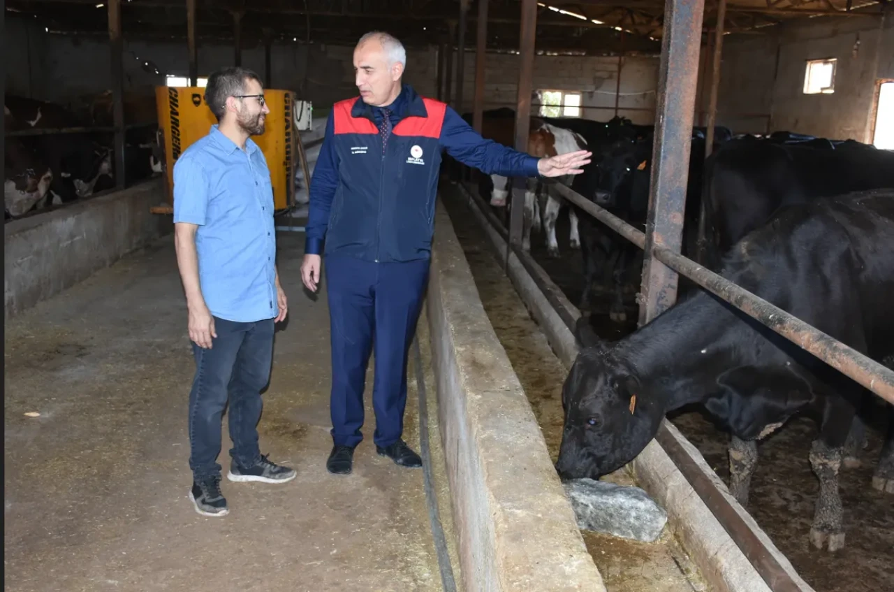 Kırsalda Bereket Projesiyle Malatya’da hayvancılığa büyük katkı