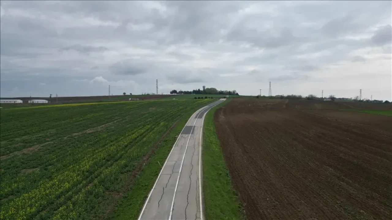 Edirne’de Çiftçilere Büyük Müjde! Kanola Üretimi İle Verim Artacak!