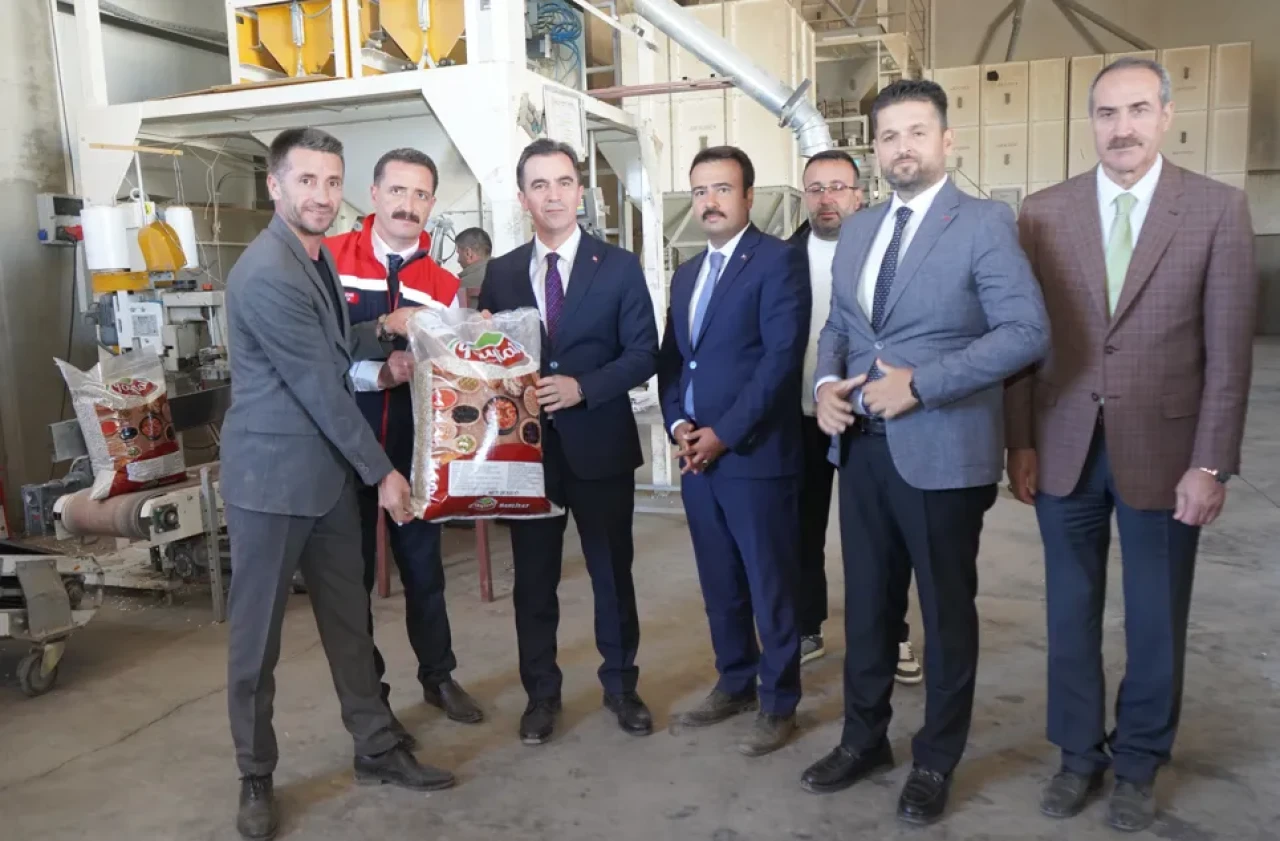 Fasulyede rekolte rekoru: Bitlis hasada koştu