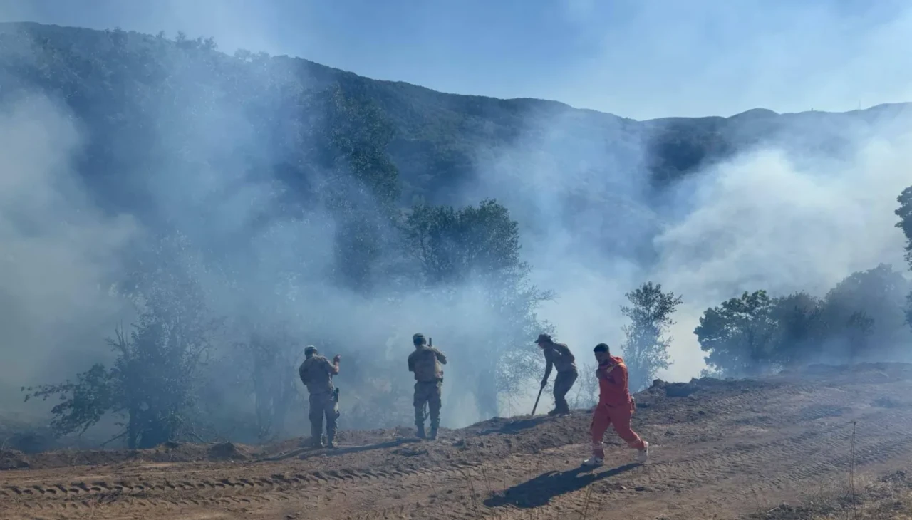 Tunceli'de orman yangını kontrol altına alındı