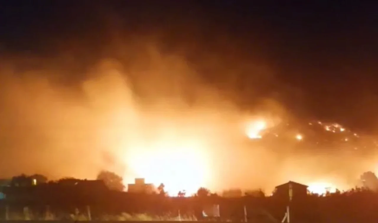 İzmir Bayındır'da orman yangını paniği! Alevler kontrol altında