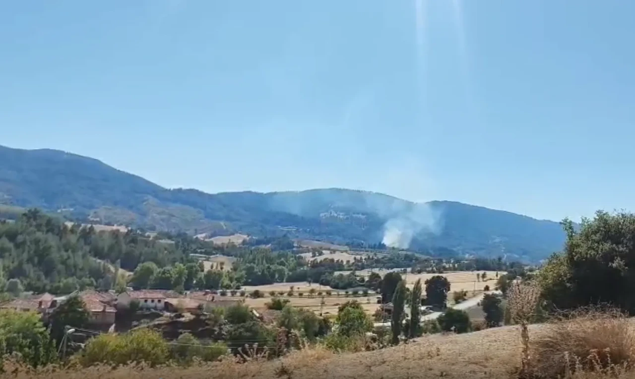 Buldan’da ormanlık alan yanıyor, çok sayıda ekip sevk edildi