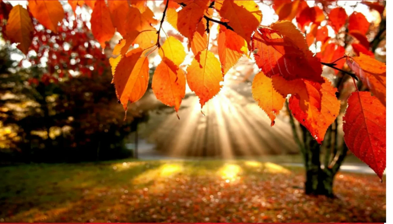 23 Eylül’de Mevsim Değişiyor: Sonbahar Ekinoksunun Anlamı ve Etkileri