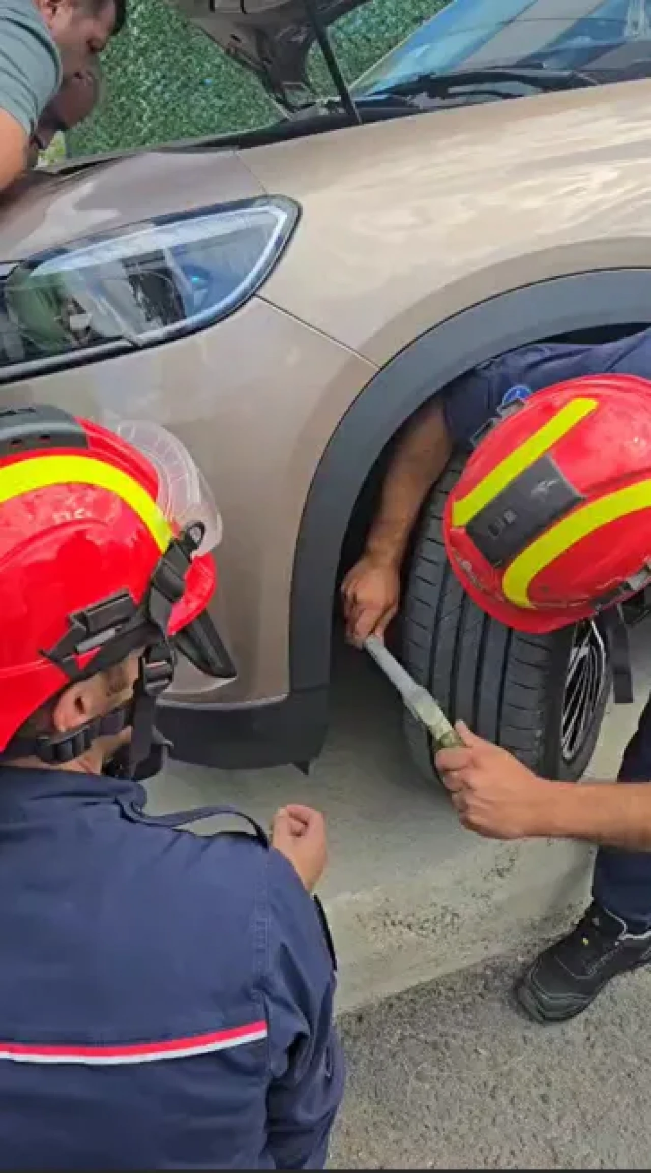 Silivri’de cipin motorunda doğan 6 kedi kurtarıldı