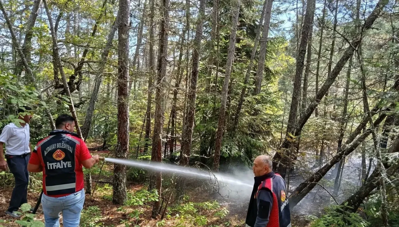 Kastamonu’da orman yangını paniği: İtfaiye ve orman ekipleri büyük felaketi engelledi