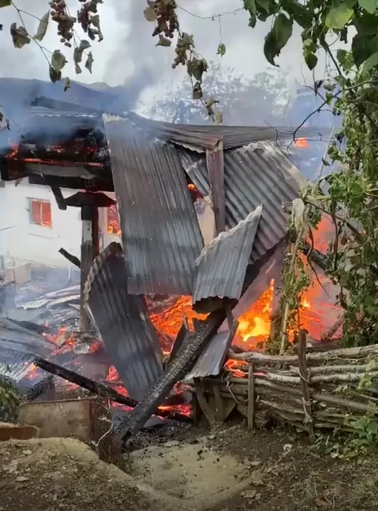 Artvin Borçka’da yangın: 4 kardeşe ait evler küle döndü