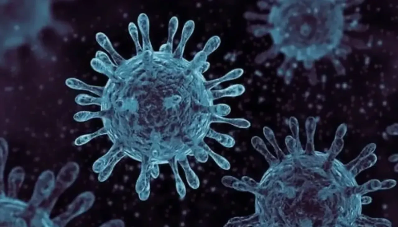 Enfeksiyon nedir? belirtileri, türleri, nedenleri ve doğal çözümler