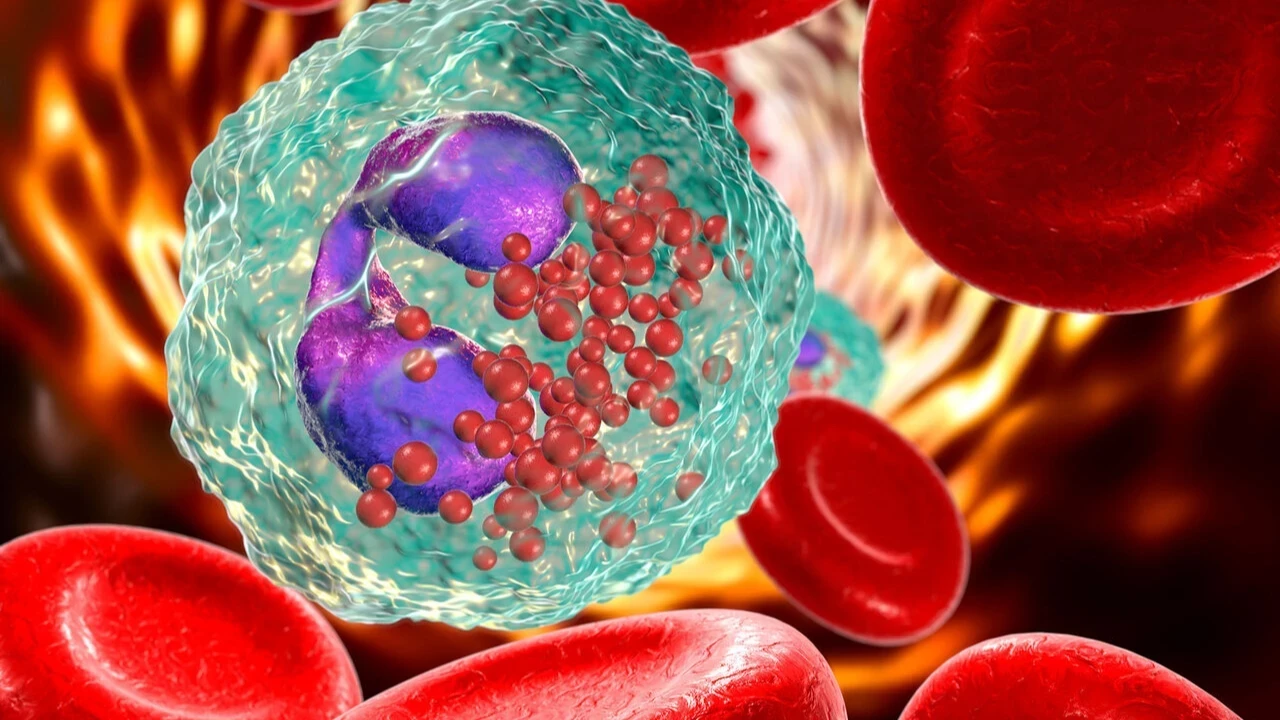 Kemik iliği bağışıyla ikinci bir yaşam mümkün