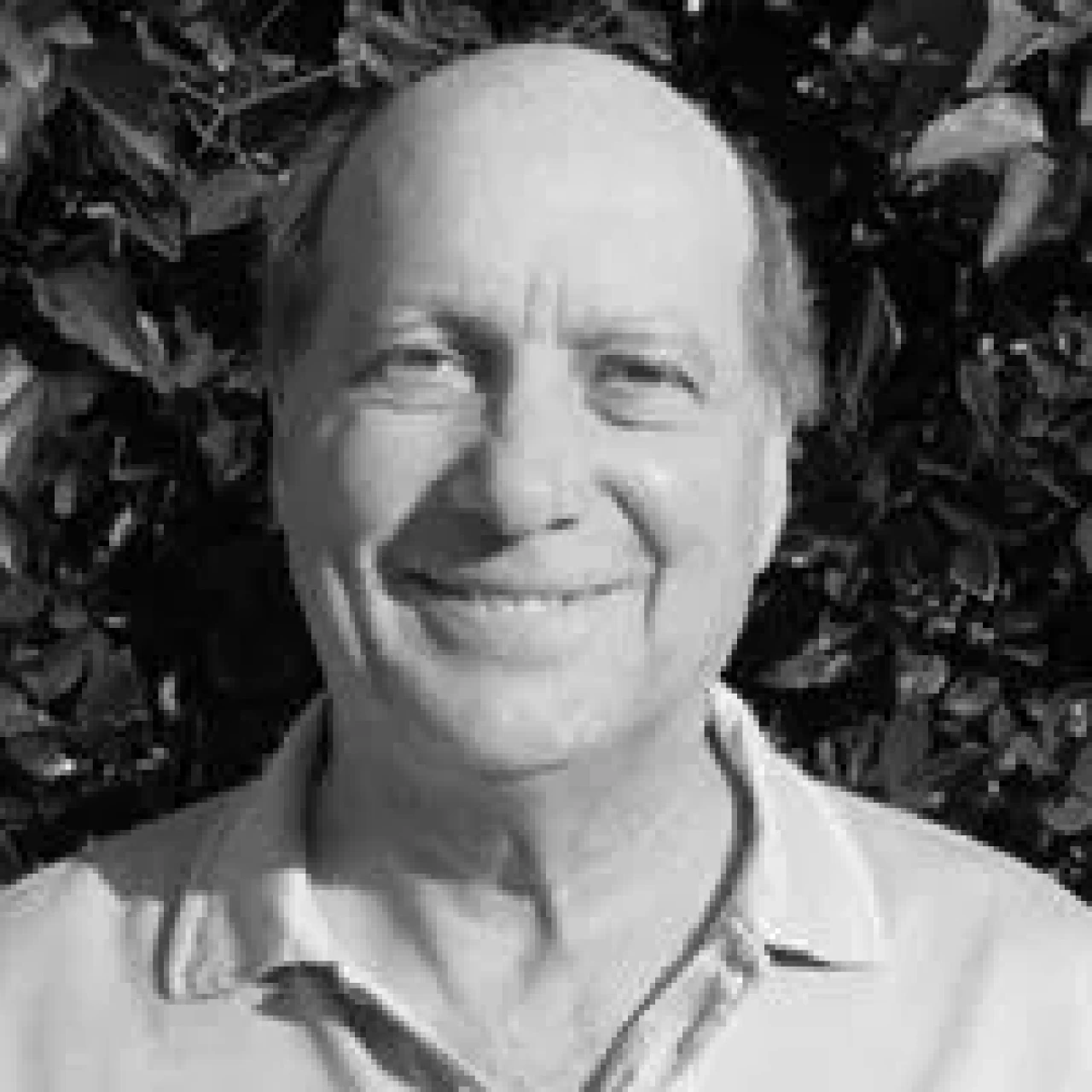 Türkiye’den kaçırılan eser için ABD’de kritik tutuklama emri çıktı