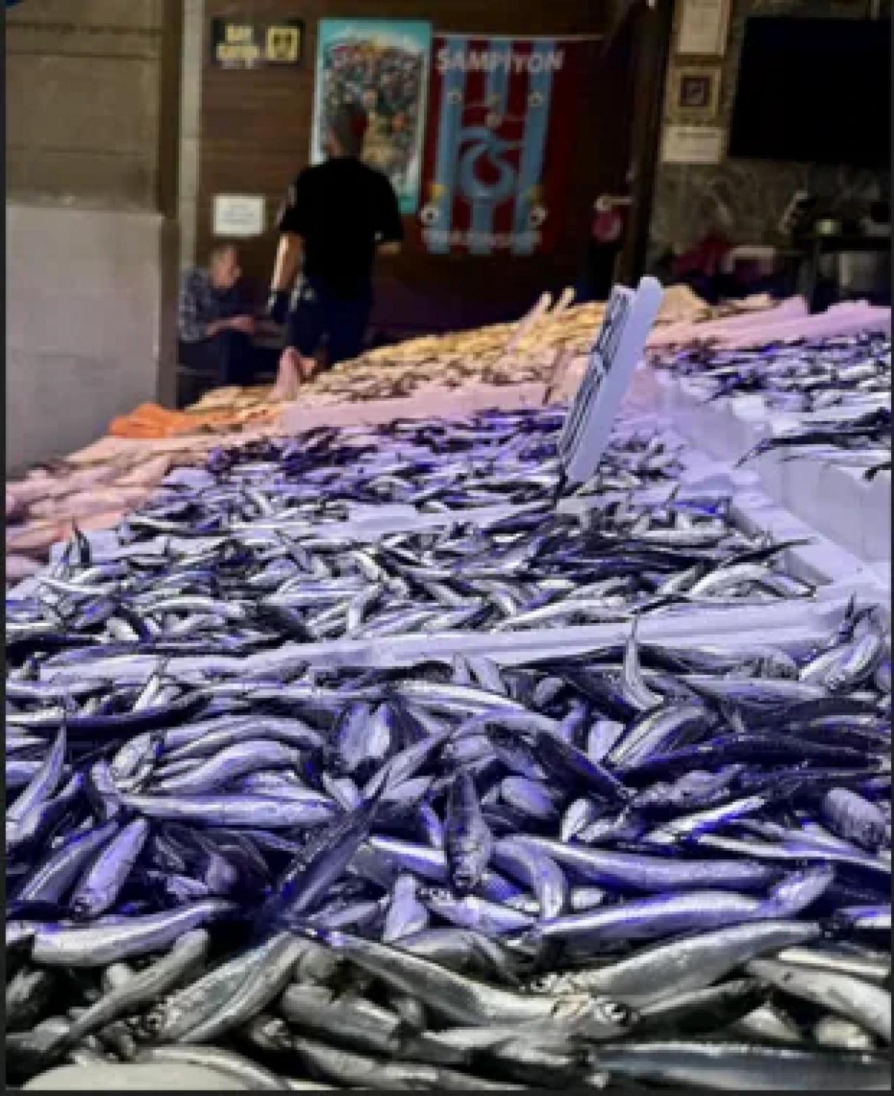 Trabzon’da hamsi bolluğu: Tezgahlar doldu taştı