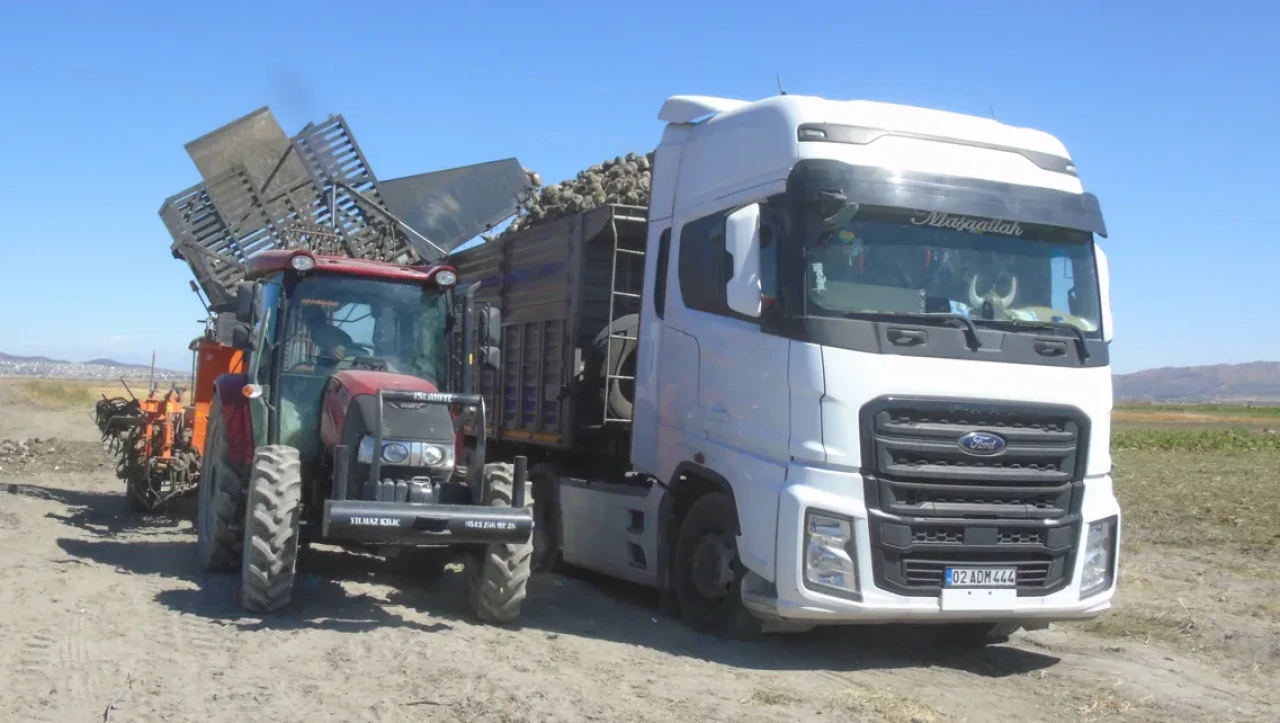 Gaziantep’te şeker pancarı hasadı başladı: Rekolte yüz güldürüyor
