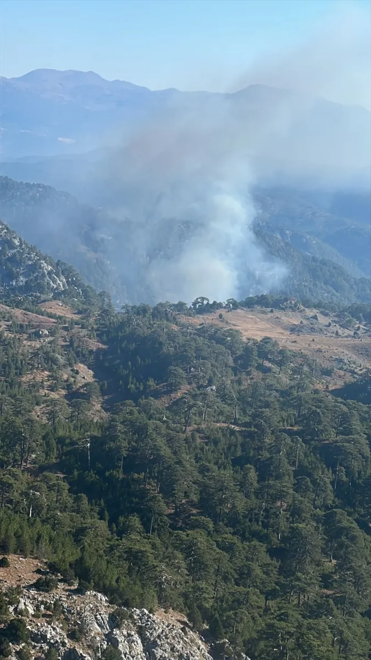 Köyceğiz ormanlarında yangın alarmı: Havadan ve karadan müdahale ediliyor