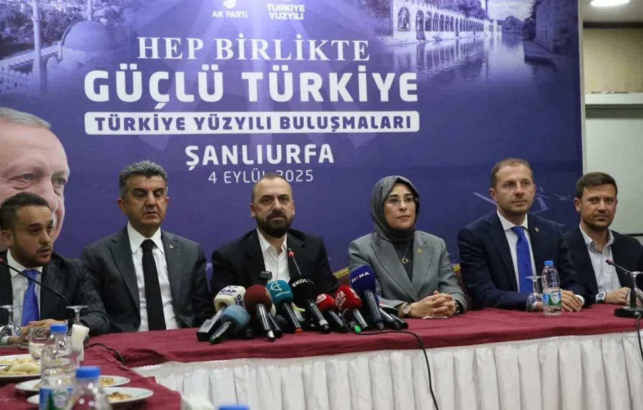 Türkiye Yüzyılı Buluşmaları Şanlıurfa'da: Komisyona dair kritik açıklamalar