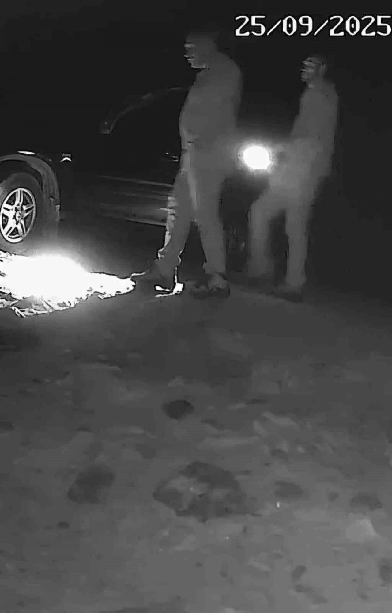 Boz ayı avlayan iki avcı fotokapana yakalandı