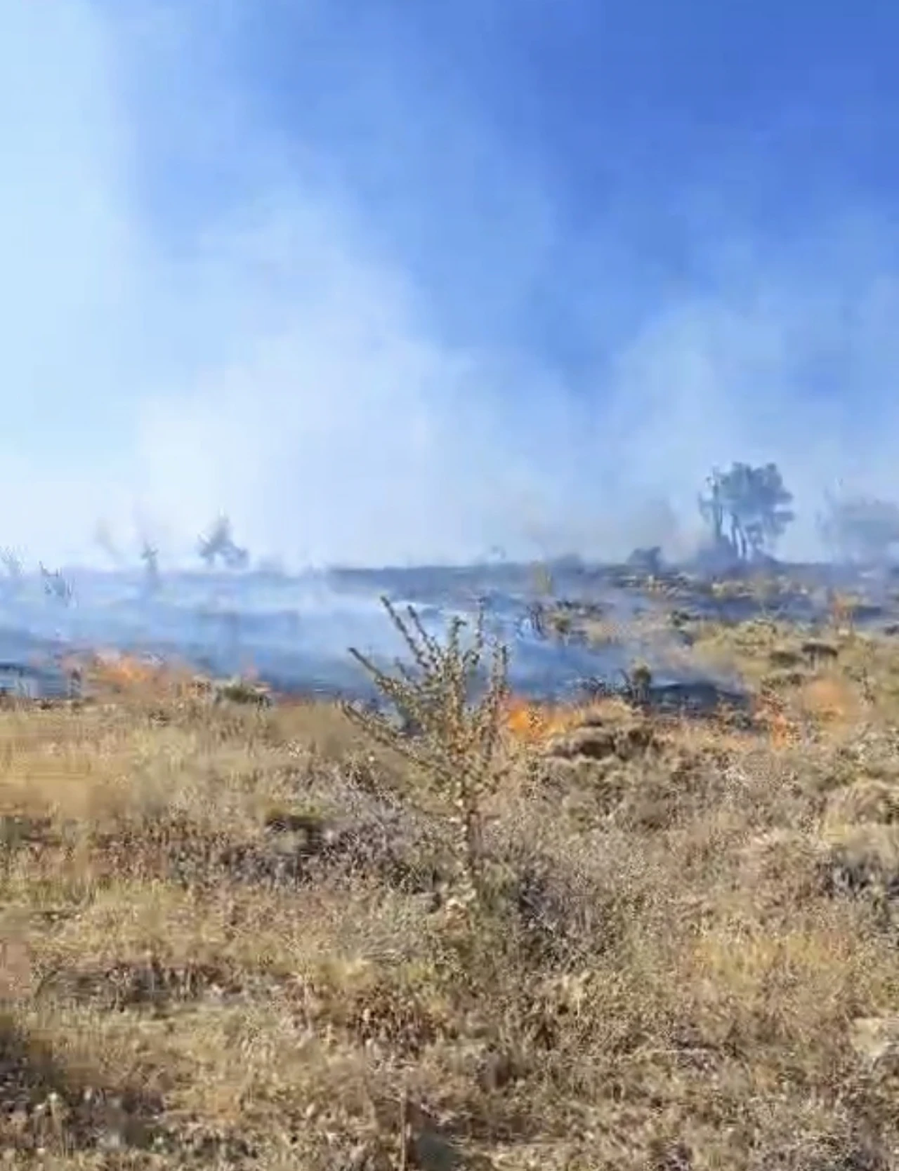 Alevler yaylaya kadar ulaştı: Sincik’te orman yangını endişe yarattı!