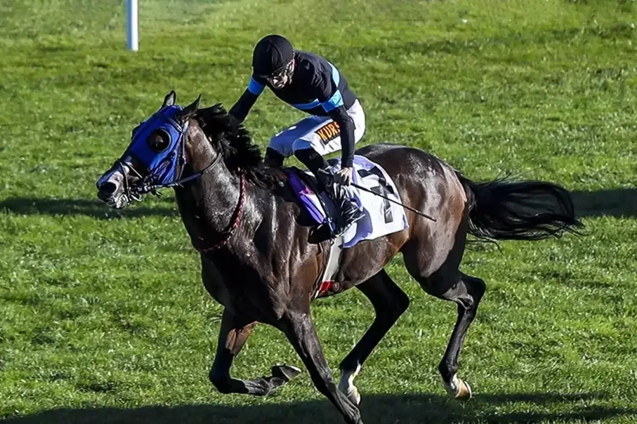 Meclis’te 100 Milyonluk At Bombası! 'Atlar Yok' İddiası Gündemi Sarstı