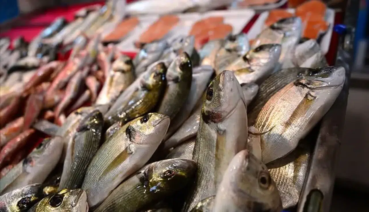 İstanbul Balık Fiyatları 2026 Ne Kadar? Günlük Listeye Göre Hamsi, Levrek ve Çipura Kaç TL?