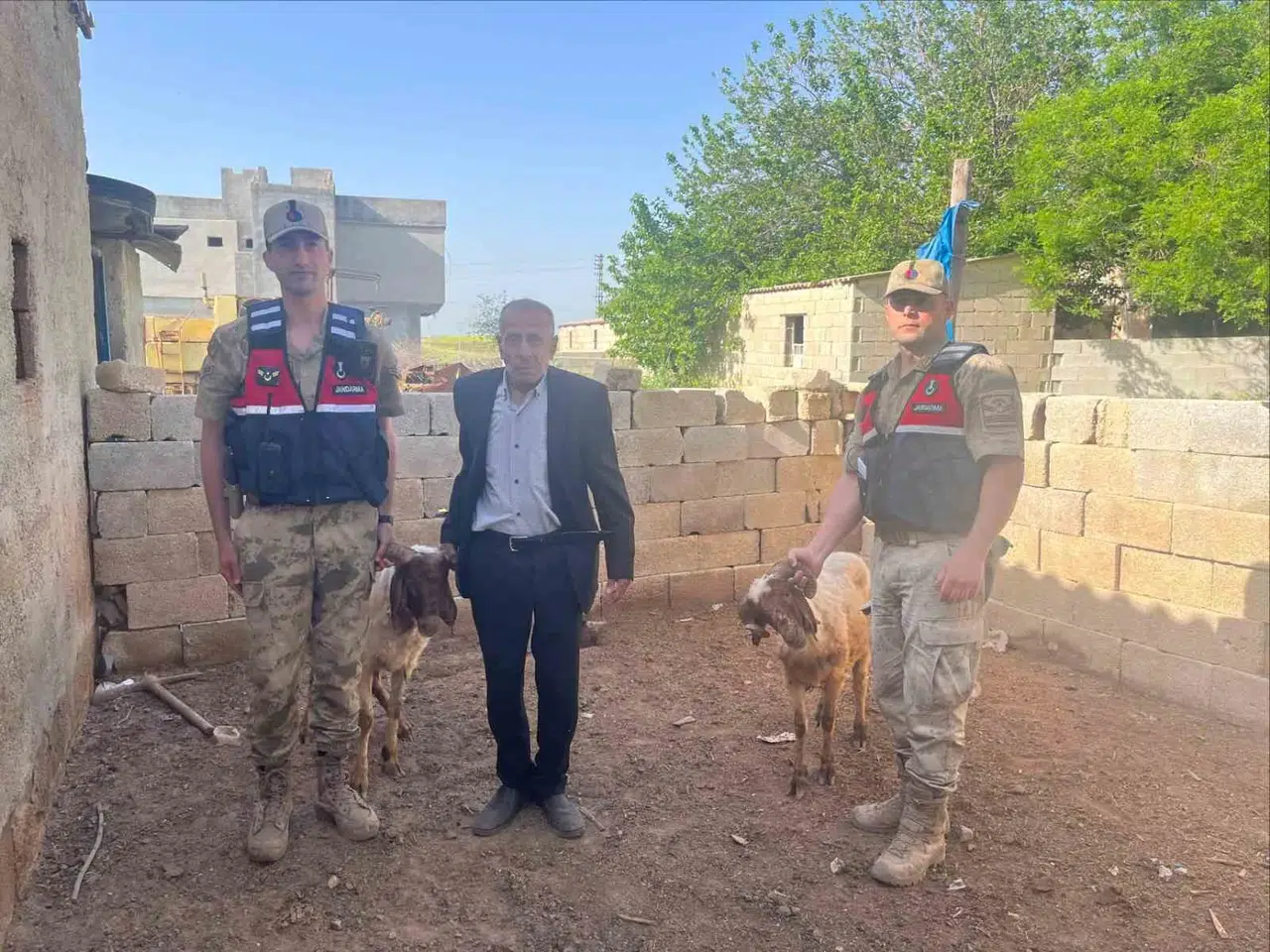 Kilis’te çobanlık yapan vatandaşın yüzü jandarma ile güldü: Kayıp sürünün izini arazide buldular