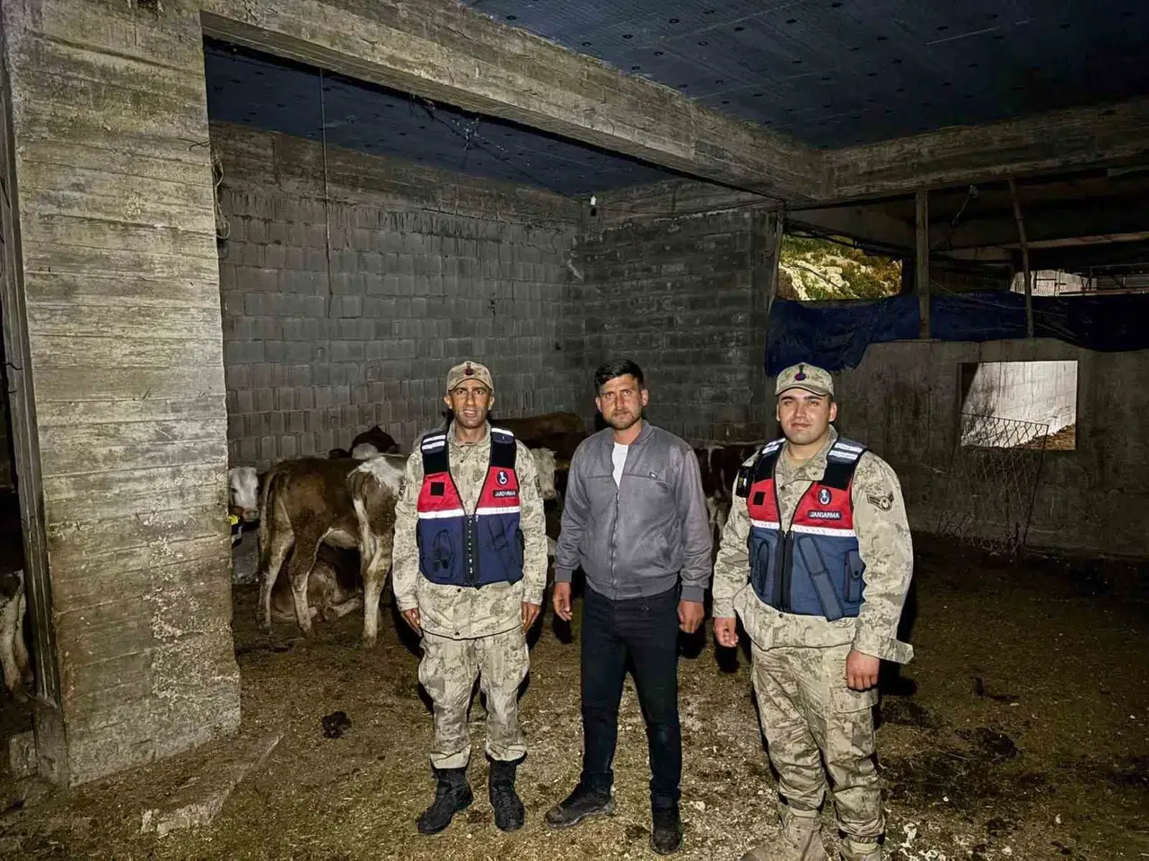 Kilis’te kayıp ihbarı paniği kısa sürdü: Jandarma ekipleri sürüyü arazide buldu