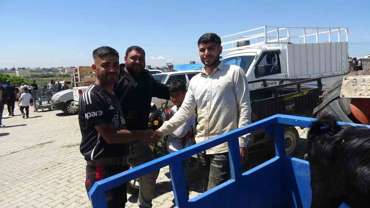 Kilis’te bayram bereketi: Kurbanlık pazarlarında sıkı pazarlık dönemi başladı