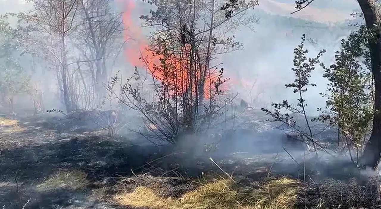Bitlis'te peş peşe çıkan yangınlar, kentte endişeye yol açtı