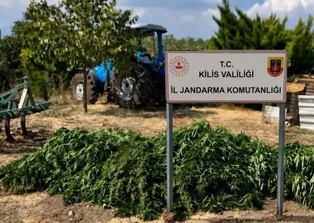 Kilis'te 40 kilo 500 gram kubar esrar ve 65 kök kenevir ele geçirildi