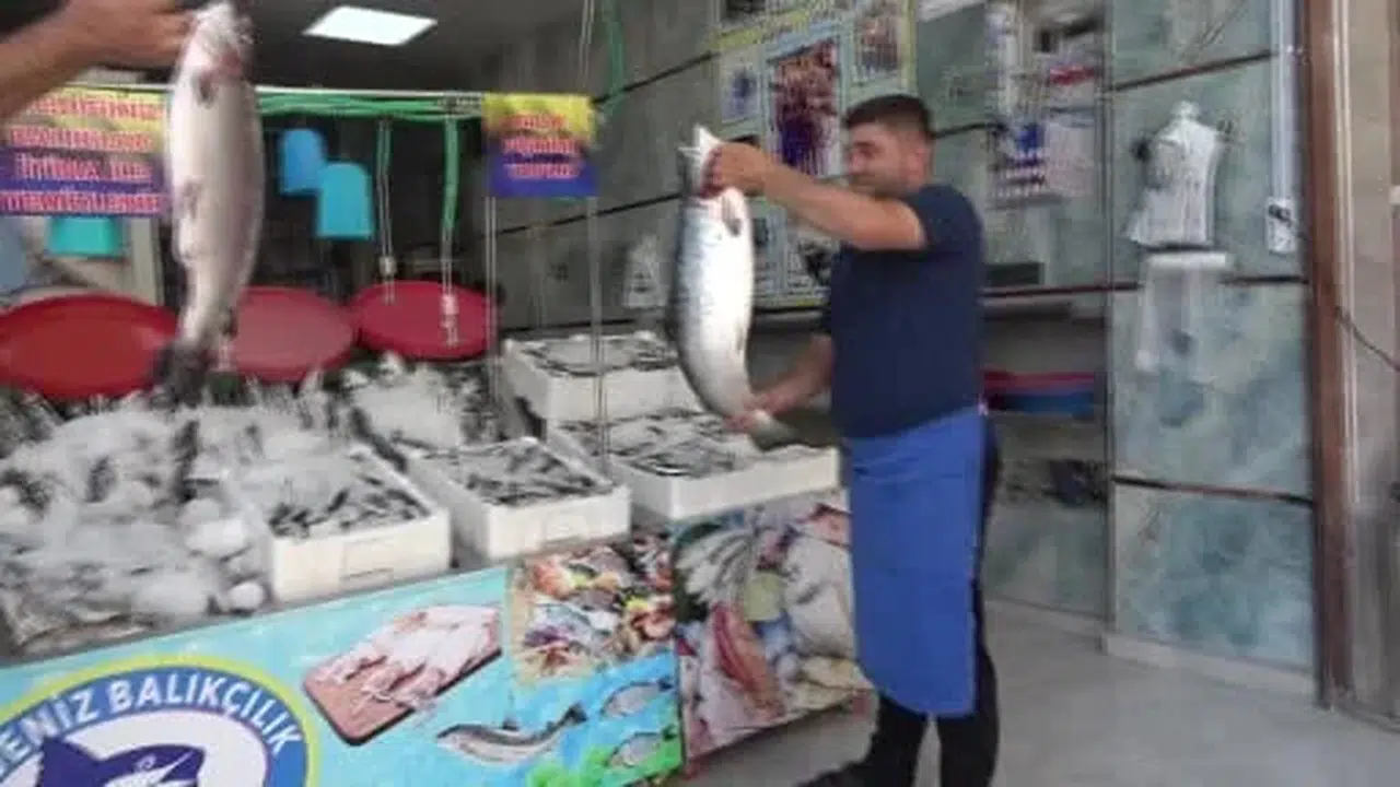 Kilis'te balık sezonu açıldı: Tezgahlarda çeşit zenginliği artıyor