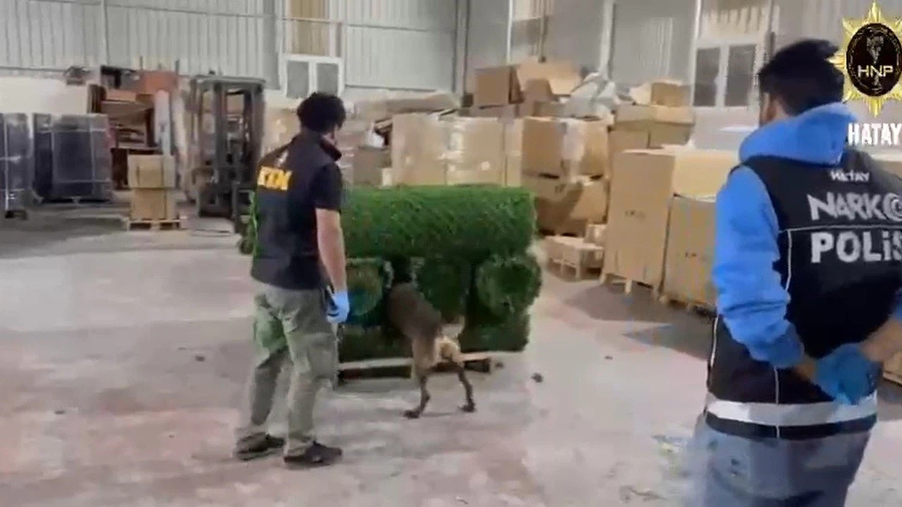 Çit değil cephane! çimin altından çıkanlar ağızlar…