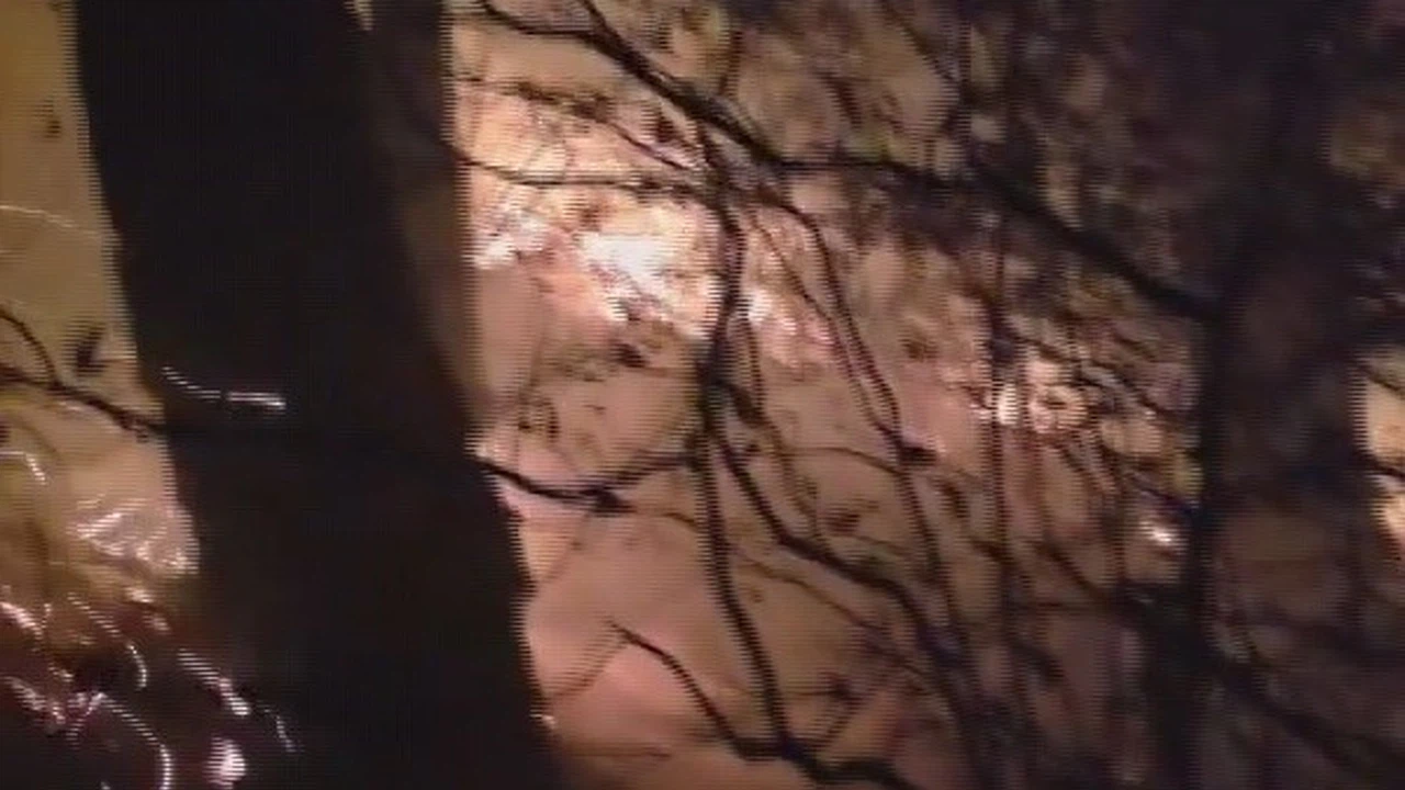 Hatay’da korkutan yangın! Yıldırım ormanı ateşe verdi