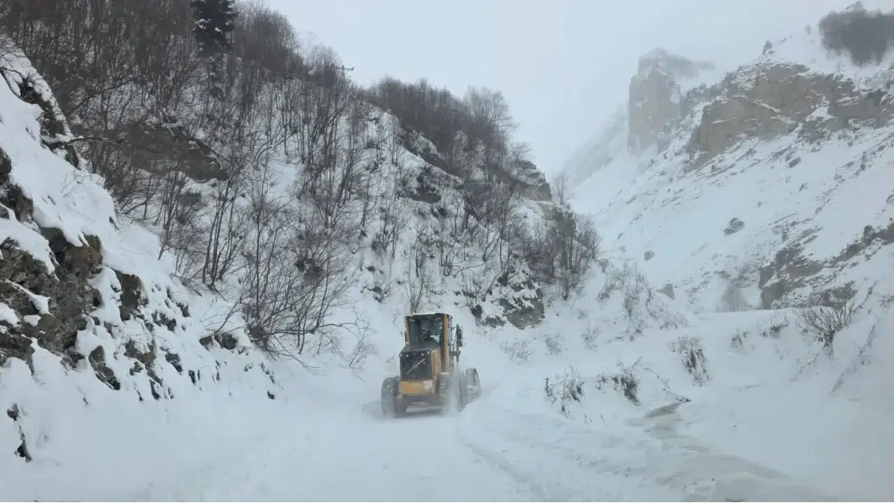 Artvin’de çığ felaketi: Çobanlar için dakikalarla yarıştılar!