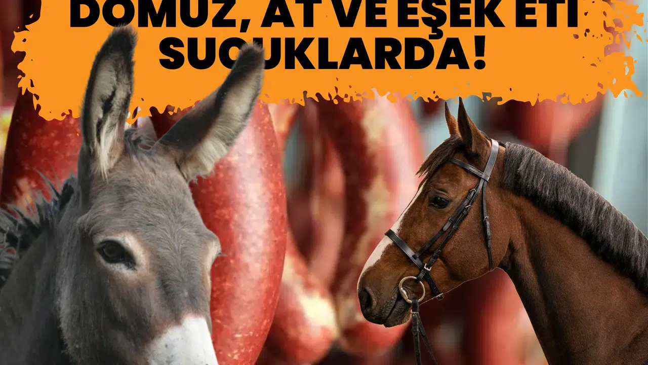 Etiket başka, içerik bambaşka: Domuz, at ve eşek eti sucuklarda! Yılların markası da o listede