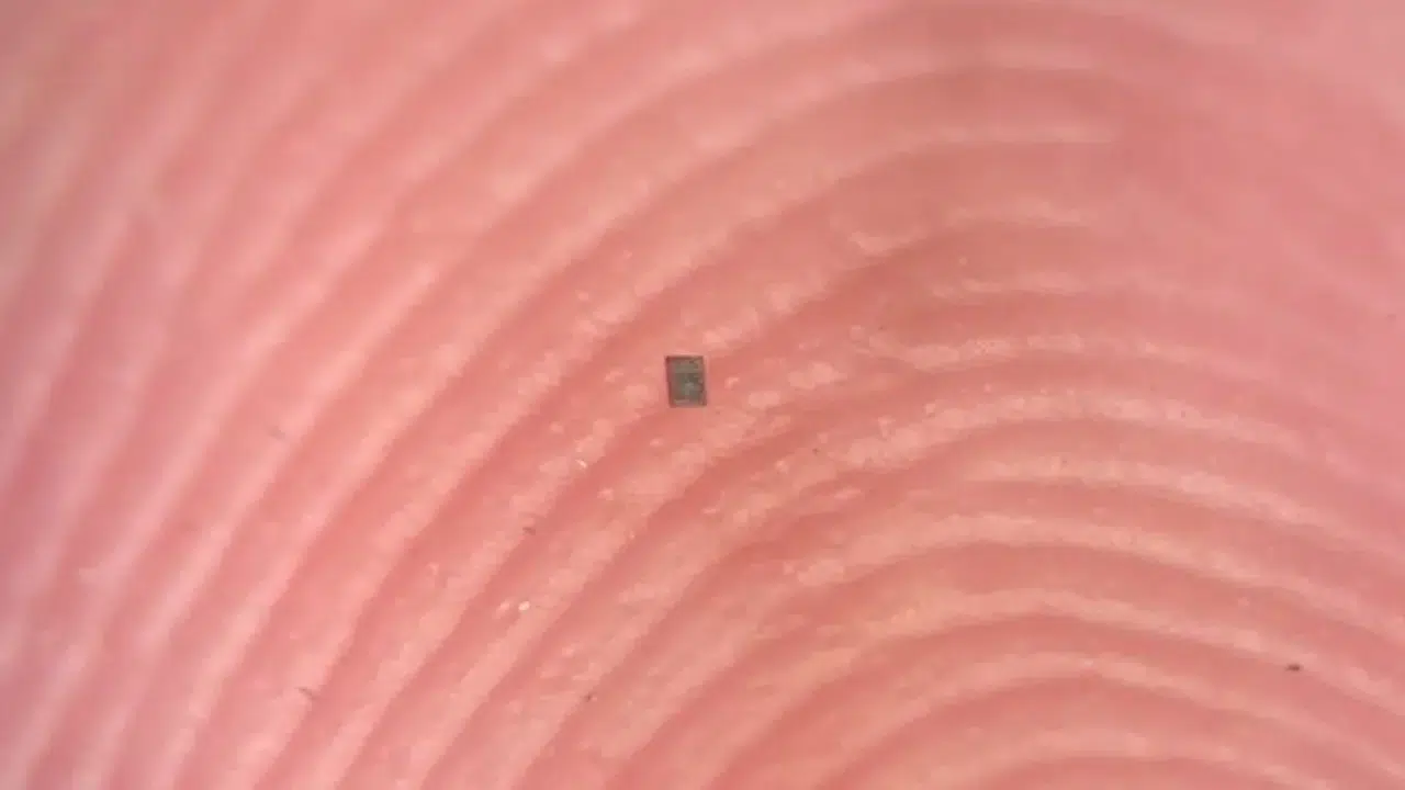 Bu robot kum tanesinden küçük… Dünya’nın en minik robotu!