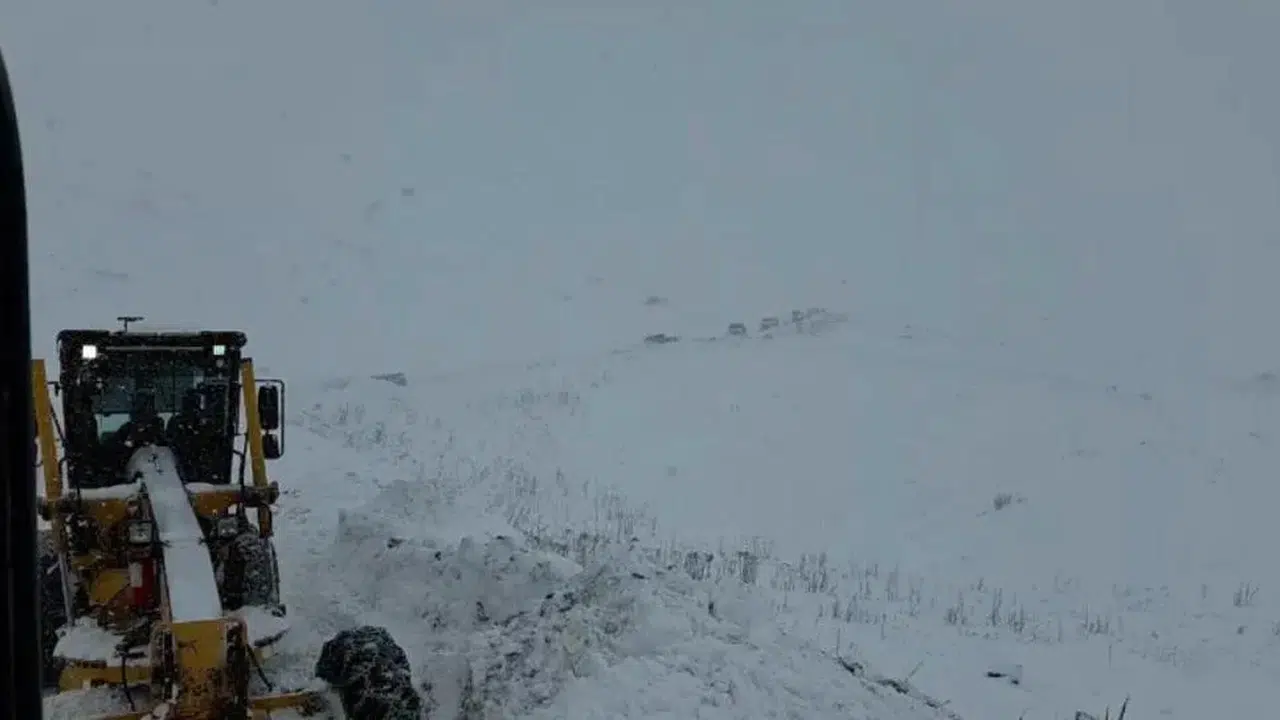 Artvin’de çığ düştü: 3 çoban kar altında kaldı!