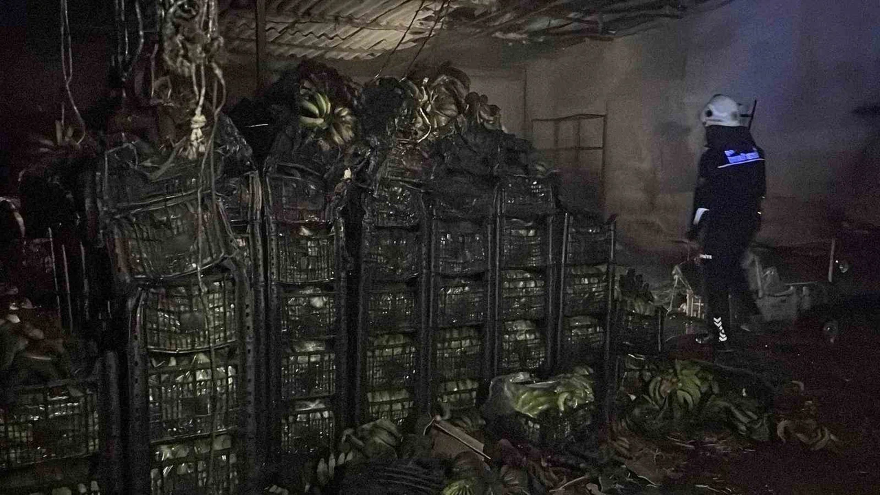 Alanya’da muz sarartma tesisinde yangın: Tonlarca muz zarar gördü