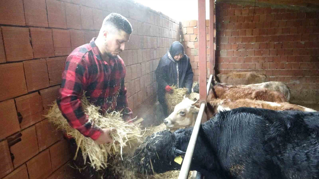 Gurbetten döndü, hayvancılık yapmaya başladı: 'Almanya’da robot olacağıma memleketimde çoban olurum'