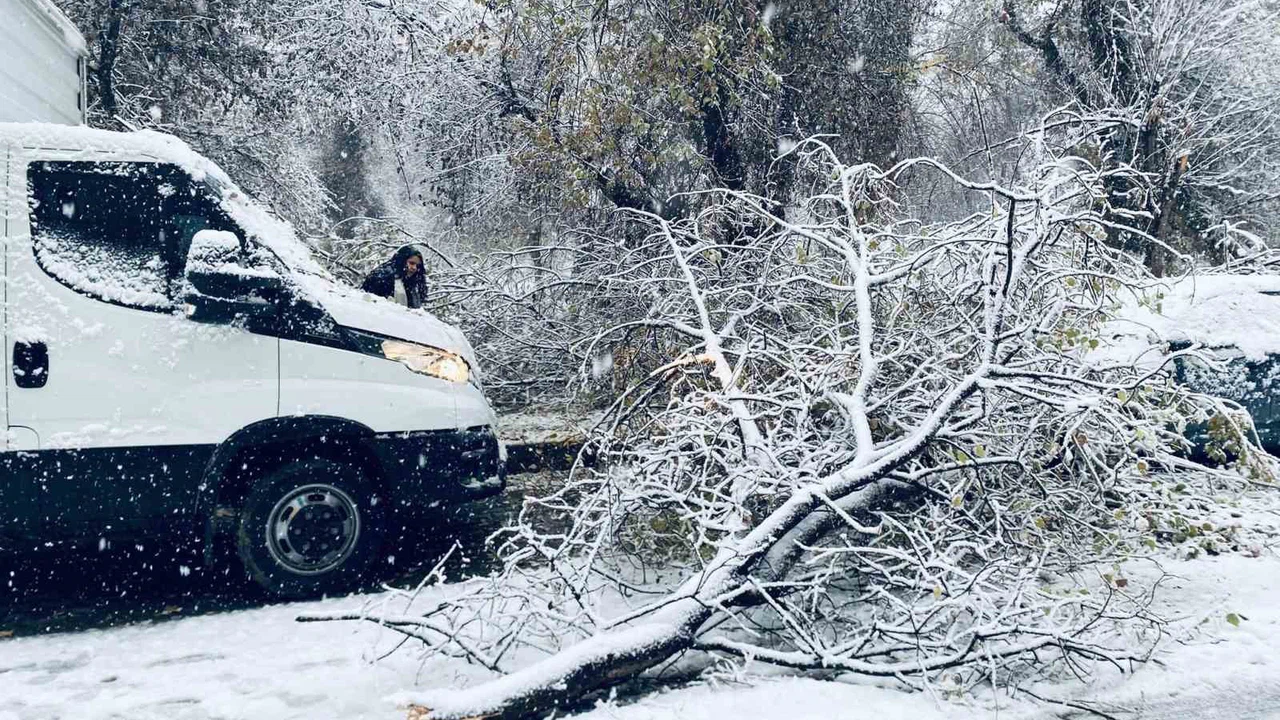 Birecik’te etkili olan kar yağışı ağaç dallarını kırdı, araçlar zarar gördü!