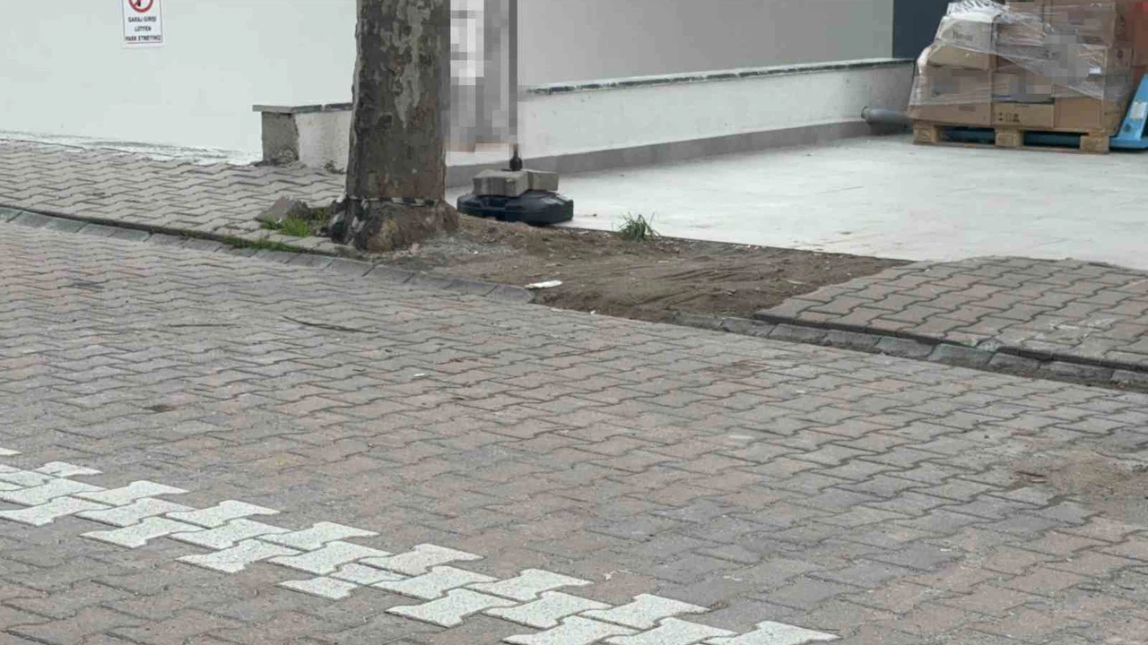 Bulduğu poşetin içinden deste destek dolar çıktı! İşte miktarı