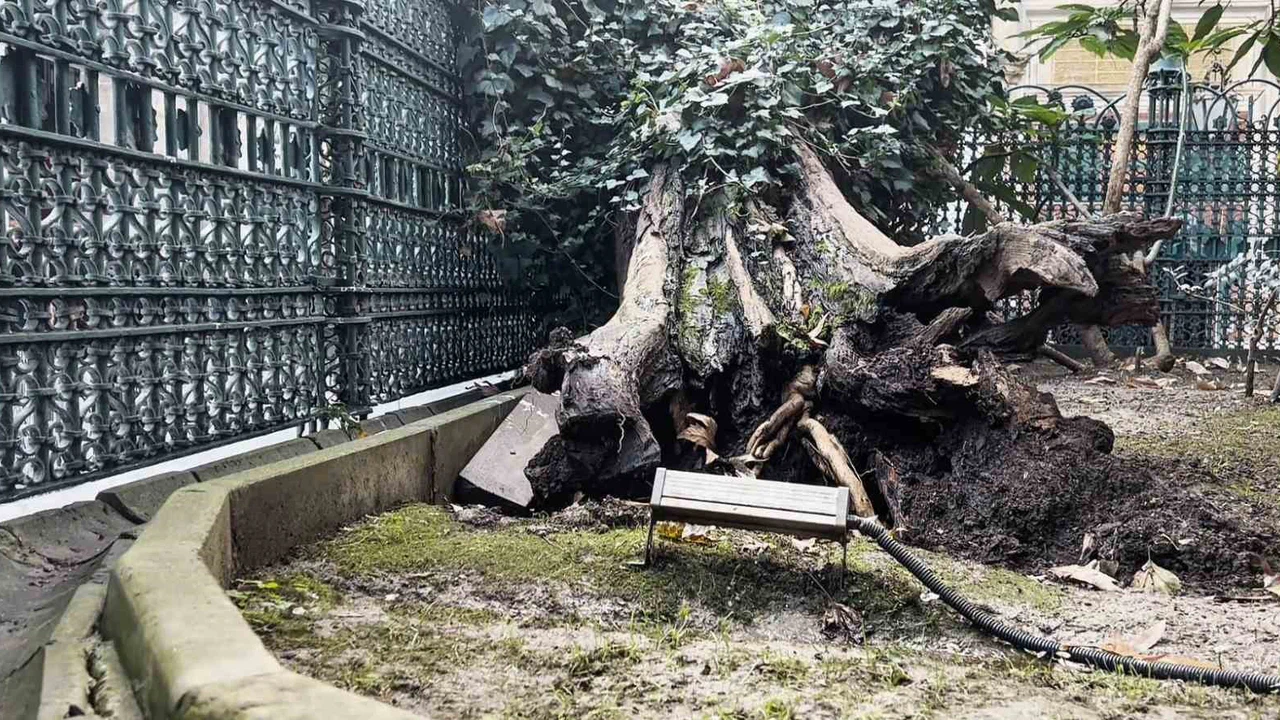 Yüzyılların tanığı, ecdad mirası demir korkuluklara yaslandı!