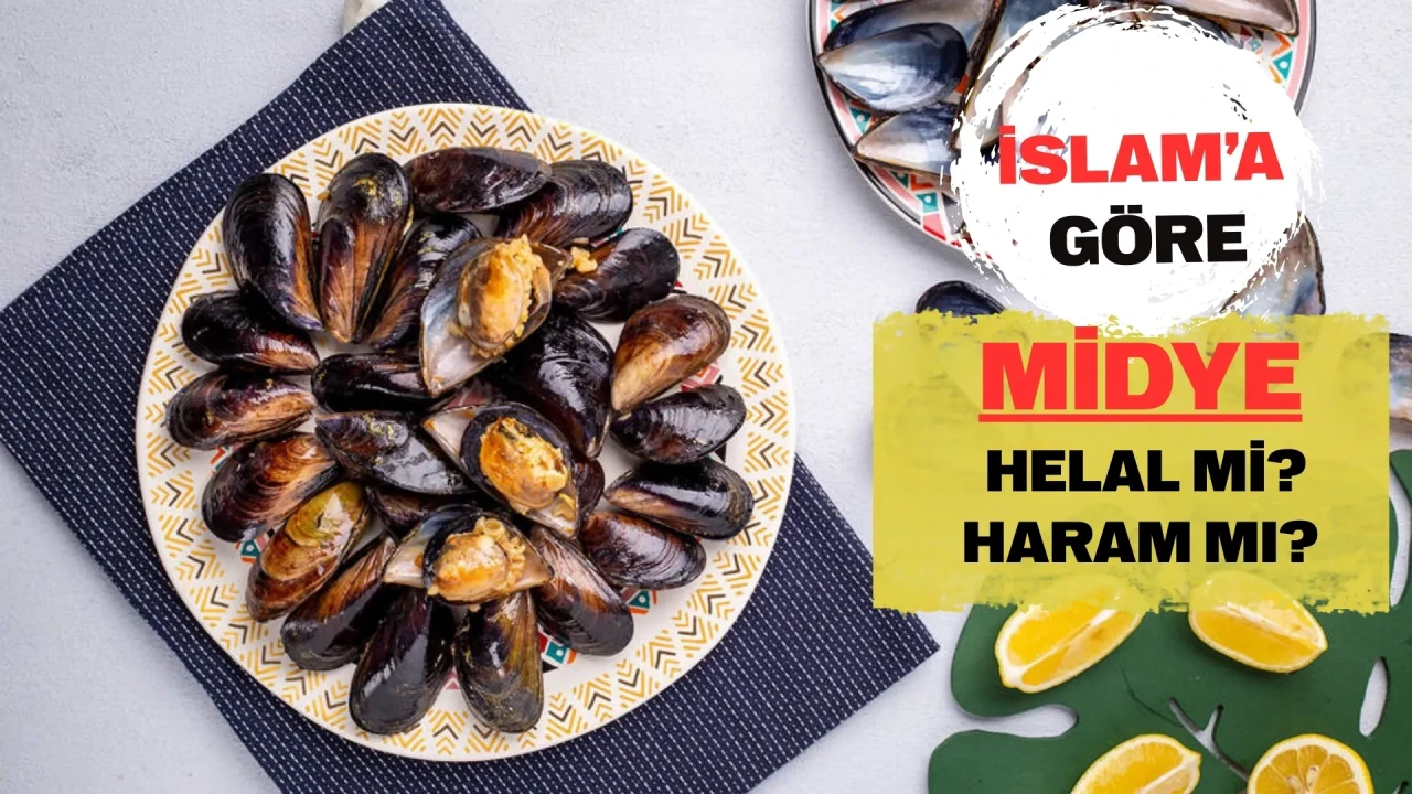 Midye helal mi, haram mı? Diyanet ve mezheplere göre midye yemek caiz mi?