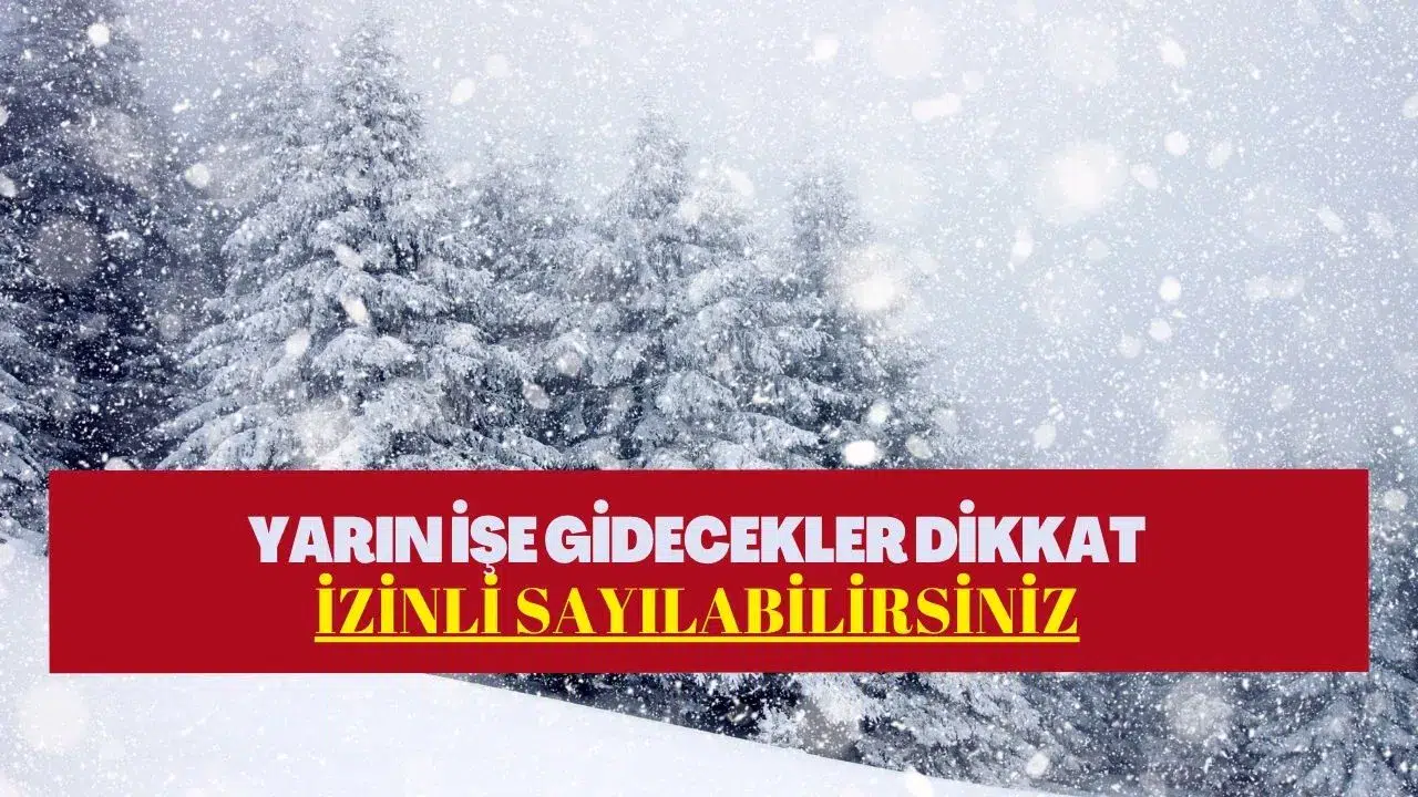 Yarın işe gidecekler dikkat! Valilikler kararı duyurdu: İşte 20 Ocak'ta idari izinli sayılacak iller