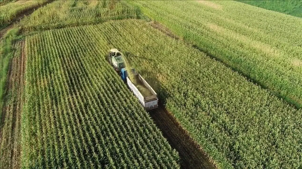 5 soruda tarımda 'B-Reçete' uygulaması