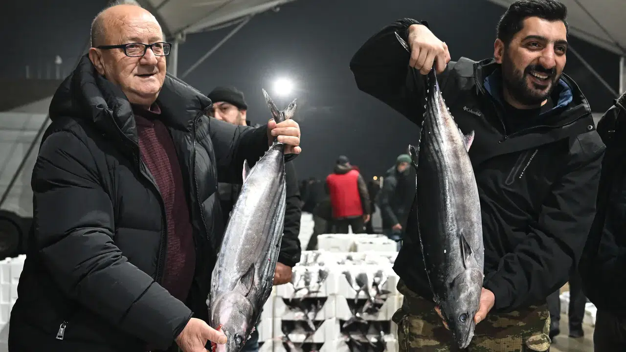 Marmara Denizi’nde 40 yıl sonra torik bolluğu: Balıkçılar nefes aldı