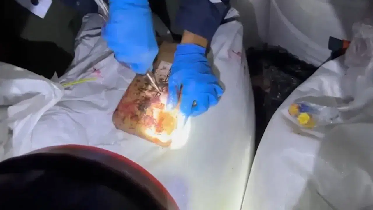 Mersin Limanı’ndan zehir fışkırdı: 298 kilogramlık baskın!