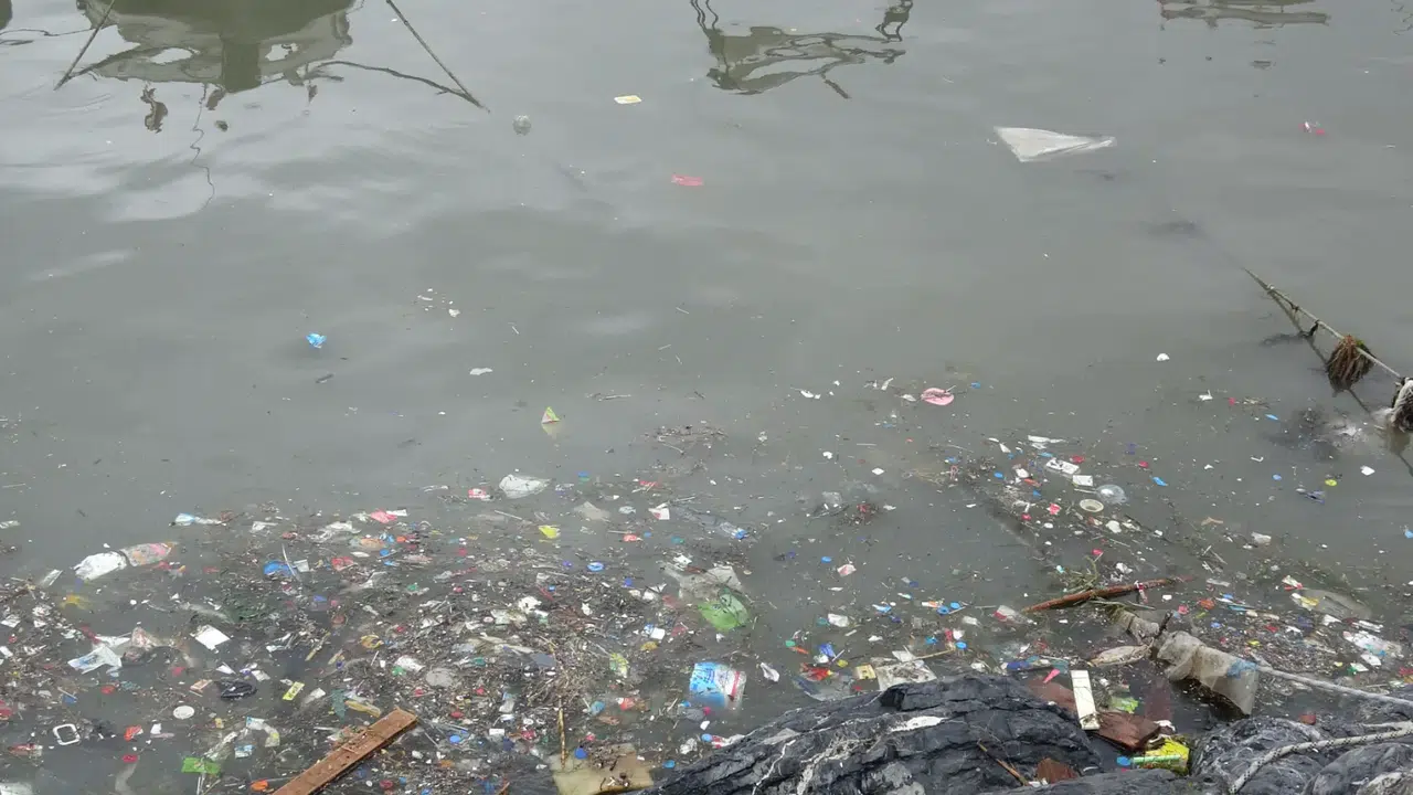 Pendik’te utandıran tablo: Atık sular denizi çamura çevirdi, felaket havadan kayda geçti!