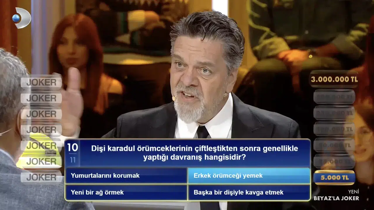 Beyaz’la Joker karadul örümceği sorusunun cevabı ne? yumurtalarını korumak mı, erkek örümceği yemek mi, yeni bir ağ örmek mi, başka bir dişiyle kavga etmek mi?